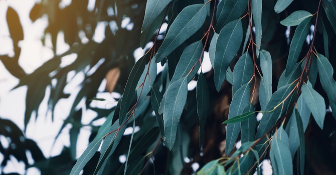 Individual Relationship Counseling